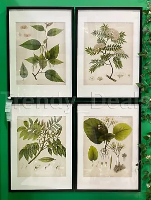 Pack Of 4 - Ikea BILD Poster Picture 16 ¼ X 20  Flowers & Leaves (No Frame) NEW • $32.99