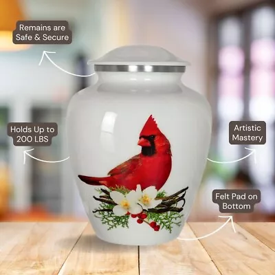 Peace & Harmony Beautiful Red Cardinal Adult Large Cremation Urn For Human Ashes • $49.99