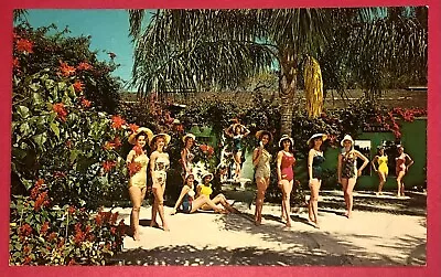 Postcard Weeki Wachee Florida Mermaids Bathing Beauties Water Park Ladies 1961 • $7.99