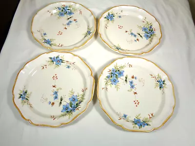 Mikasa Garden Club Day Dreams 11 Inch Dia Dinner Plates EC461 ~Set Of 4  A+ COND • $45