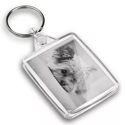 IP02 Passport Keyring BW - Yorkshire Terrier Puppy Dog  #36538 • £4.99