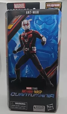 NEW Marvel Legends Ant-Man & The Wasp Quantumania Action Figure Ant-Man Hasbro  • $17.89
