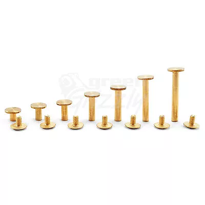 £4.29 • Buy Belt Rivets Chicago Screws Studs Nail Head 6 8 10 14 18 25 29 Mm Binding Book