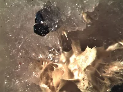 $10 • Buy Ferrimolybdite Molybdenite Rare Mineral Micromount From Italy