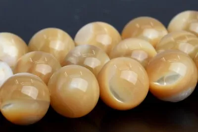 Natural Yellow Trochidae Shell Beads Grade AAA Round Loose Beads 8/10MM • $8.49