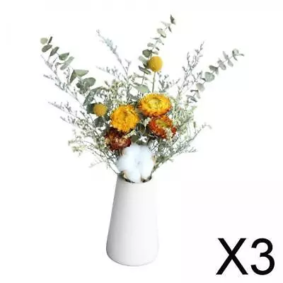 3x Natural Dried Flower Eucalyptus Stems For Farmhouse Floral Furniture Bridal • $34.43