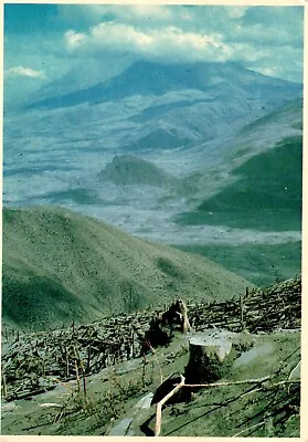 Mt St. Helens Devastation Washington Postcard • $1.49