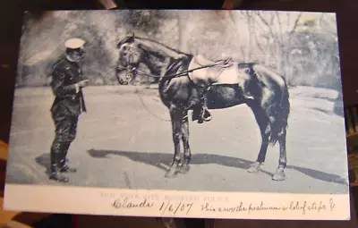 1907 New York City      Mounted Police   • $3