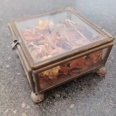 Antique Glass Display Box • $9.99