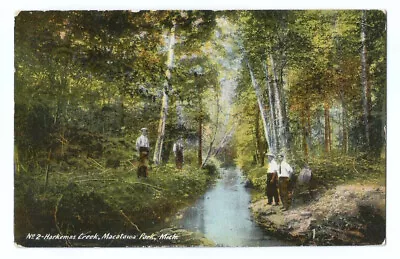 Macatawa Park  MI Postcard Michigan Harkemas Creek C1910 • $7.99