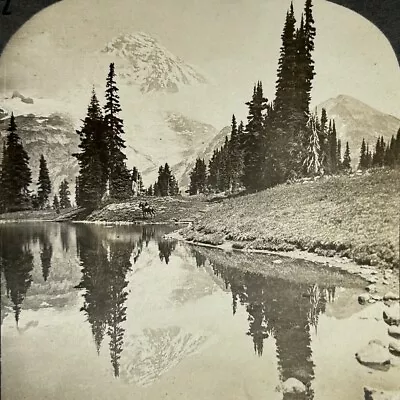 Stereoview Indian Henry's Hunting Ground Mt Rainier From Mirror Lake Washington • $24.95