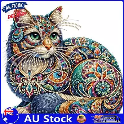 AU 5D DIY Partial Special Shaped Drill Diamond Painting Gorgeous Cat Decor 30x30 • $9.89