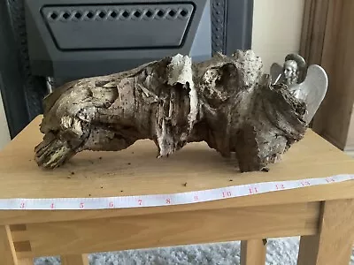 £4.99 • Buy Driftwood , Aquarium, Vivarium, Art, Craft,shop Window/Floral Display,