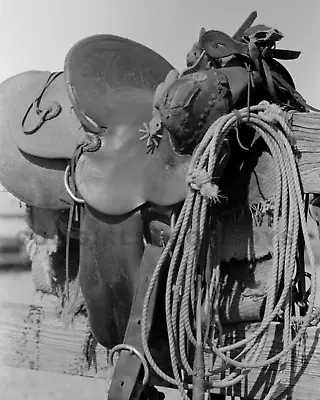 Vintage COWBOY Saddle Spurs Lariat PHOTOGRAPH Montana 1939 8x10 Old West Photo • $7.99