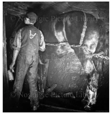 £2.50 • Buy PHOTO 10 MINING SCENE INSIDE  OF CANNOCK CHASE COAL MINE STAFFORDSHIRE C1890