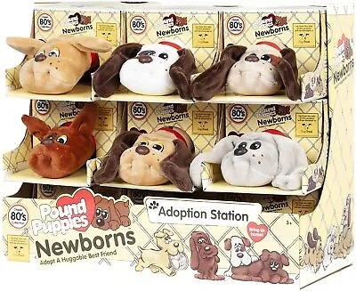 £12.50 • Buy Pound Puppies Newborns - Wave 2 Dogs Trust Plush - Choose Character **new**