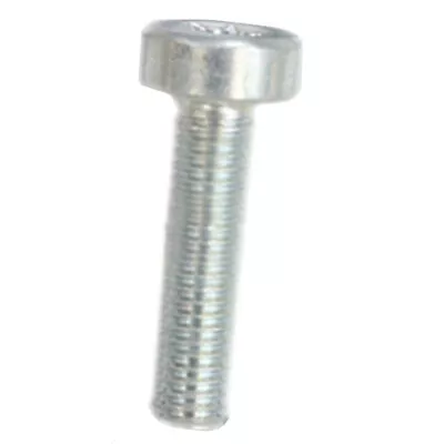 Echo Genuine OEM Screw For PE-265S Edger V805000160 • $7.97