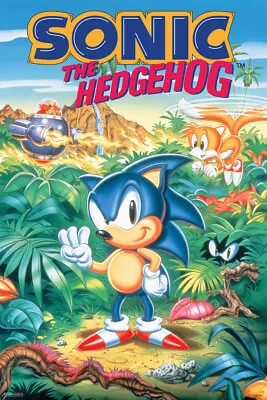 $10.98 • Buy Sonic The Hedgehog Sonic 3 Box Art Video Gaming Poster 12x18 Poster 12x18