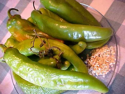 20 Hatch Valley New Mexico Usa  Legendary  Mild  Green Chili Pepper Seeds Best • $3.35