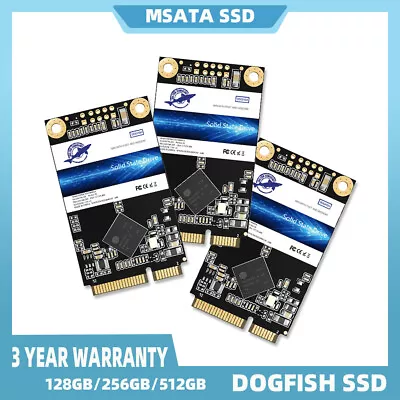 MSATA SSD 128GB 256GB 512GB SATA III DOGFISH Solid State Drives Internal 30*50mm • $17.99