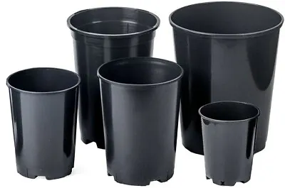 Deep Black Plastic Plant Pot Tall Rose Container Planter (1 2 3 4 & 7 Litre) • £9