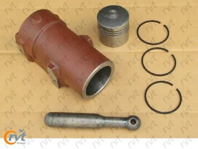 Hydraulic Lift Pump Cylinder Assembly For Massey Ferguson Mf 35x 50 65 Fe-135 • $169.99