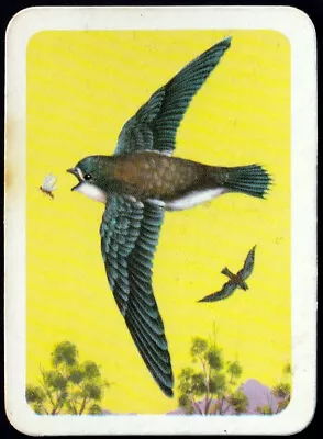 Swap Card - Tuckfield Tea Bird Series Type G #236 Spine-Tailed Swift *S475* • $3