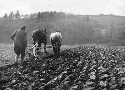 £5.66 • Buy Ploughing A Horse-drawn Plough A Field Near Lewtrenchard Devon- 1944 Photo