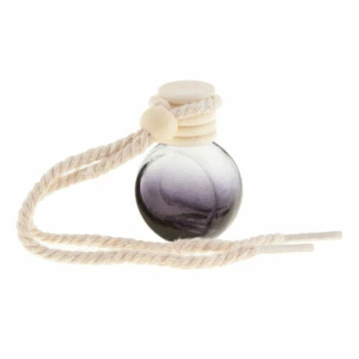 $7.95 • Buy Hanging Diffuser Car Home Fragrance Perfume Essential Oils Air Freshner AUS