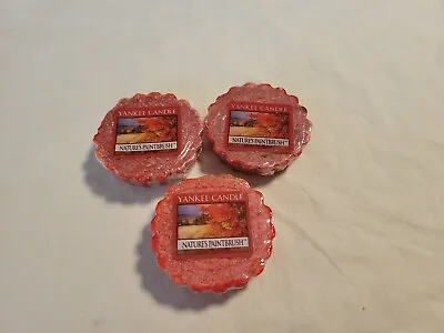 (3) Lot Yankee Candle Wax Potpourri Tarts Nature's Paintbrush 0.8 Oz  • £8.54