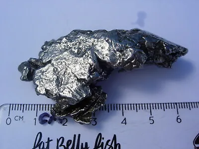 65 Grams NEW CAMPO DEL CIELO METEORITE Polished + Certificate Of Authenticity • $54.99