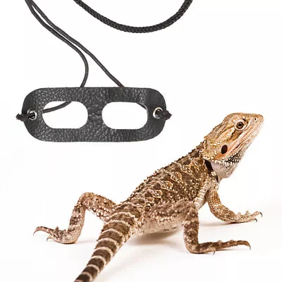 Reptile Lizard Harness Bearded Dragon Harness Reptile Leather Traction Rope • $12.64