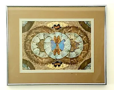 Blue Imperial Moth Monarch Butterfly Wings Vintage Intricate Frame Art Collage • $449.99