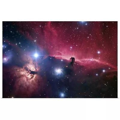 The Horsehead Nebula Poster Art Print Outer Space Home Decor • $29.99