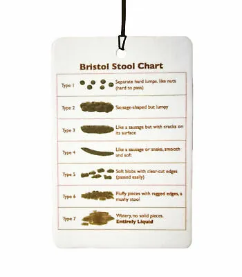 Bristol Stool Chart Car Air Freshener • $9.89