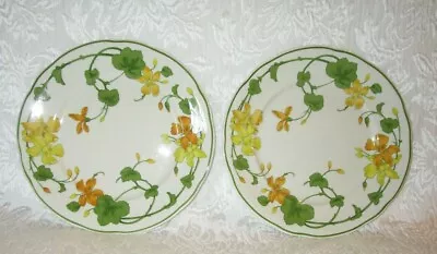 Set Of 2 ~ Vintage Villeroy & Boch GERANIUM 8  Salad Plate • $49.99