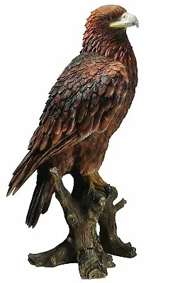 Vivid Arts Golden Eagle Highly Detailed Garden Decoration • £52.99