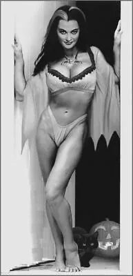 Lily Munster Halloween Black And White 8x10 Picture Celebrity Print • $3.99