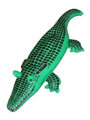 Inflatable Crocodile Water Ride Toys Summer Pool Beach Floating Alligator • $28.99