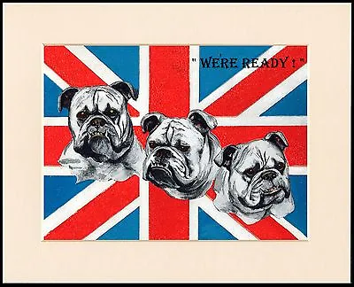 English Bulldog Dog Heads On Union Jack Flag Patriotic Dog Print Ready Mounted • £6.99