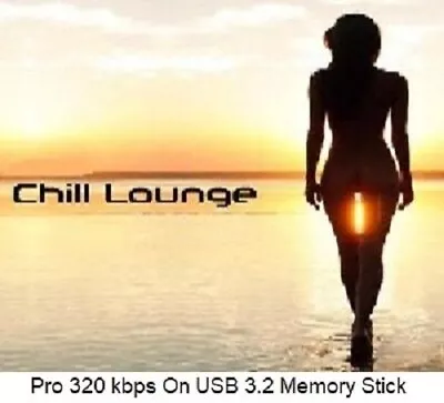 Ambient & Chillout Lounge Vol. 2 8000 High Quality DJ Friendly MP3’s (On USB) • £49.99