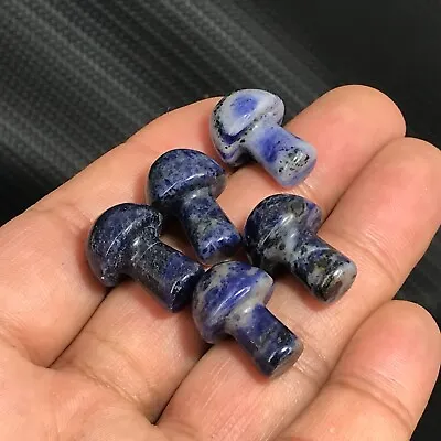 10pc Natural Sodalite Mushroom Quartz Crystal Reiki Healing Gem Random • $5