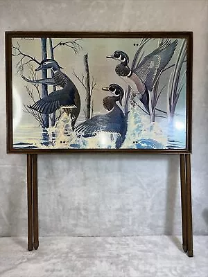 Vintage J. Macleod Folding Tv Tray Table Featuring Art Duck Fowl - 23 X 15 • $49.95
