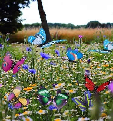 LOMYLM 24 Piece Butterfly Garden Ornaments. • £3.50