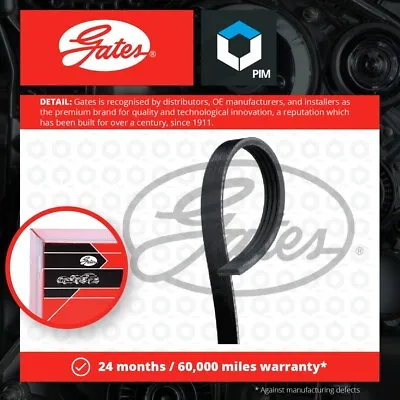 4 Rib Multi V Drive Belt Fits FORD FOCUS 2.3 2015 On Gates 5160290 CV6Z8620B New • £9.31