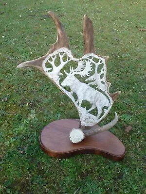 Stunning Real Fallow Deer Antler Carving - Dama Dama - Taxidermy - Hand Made • £169