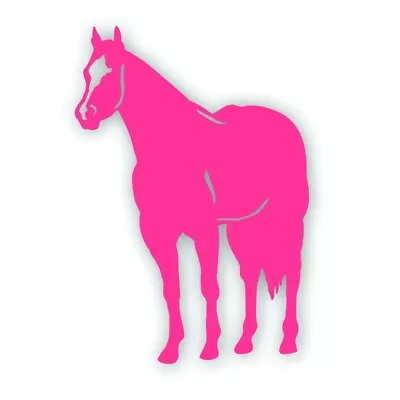 H QUARTER HORSE Decal For Your Tack Box Farm Ranch Truck Or Trailer PINK • $9.93