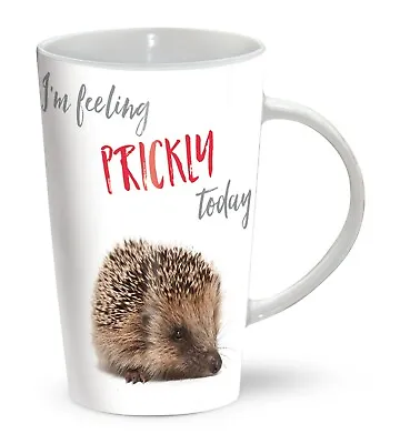 Latte Mug - Feeling Prickly • £10.98