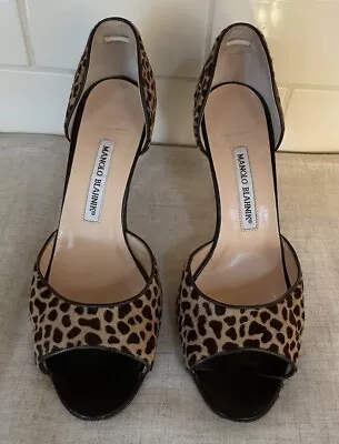 Manolo Blahnik Leopard Beige Pony Hair Black D’Orsay Pumps EU40 US 9.5 • $125