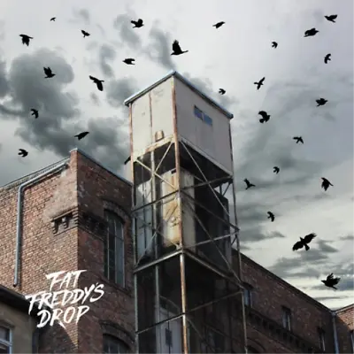 FAT FREDDY'S DROP BLACKBIRD RETURNS (Vinyl) 12  Album • £27.10